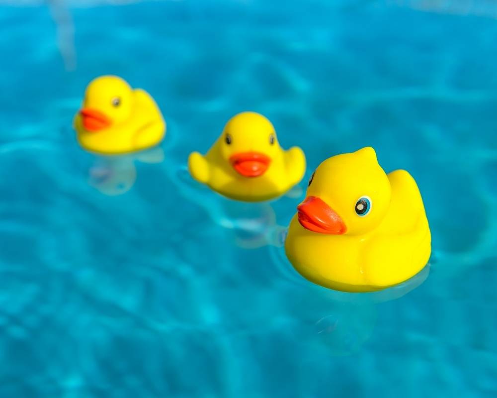 Rubber Duck Races - From 5 Hot Tub Games to Enjoy with Friends and Family by WCI Pools and Spas Serving the Greater Aames and Urbandale Iowa Areas